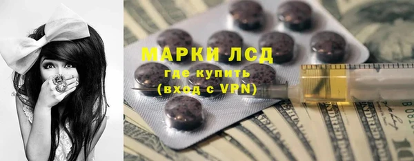 сатива Верея