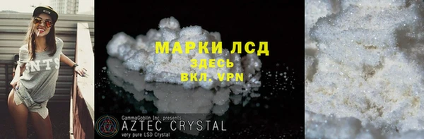 сатива Верея