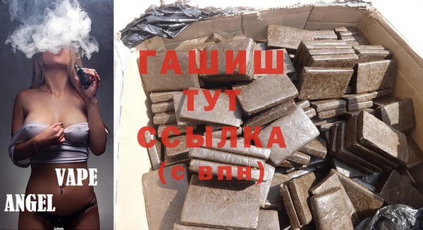 сатива Верея