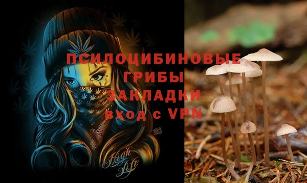 тгк Верхний Тагил
